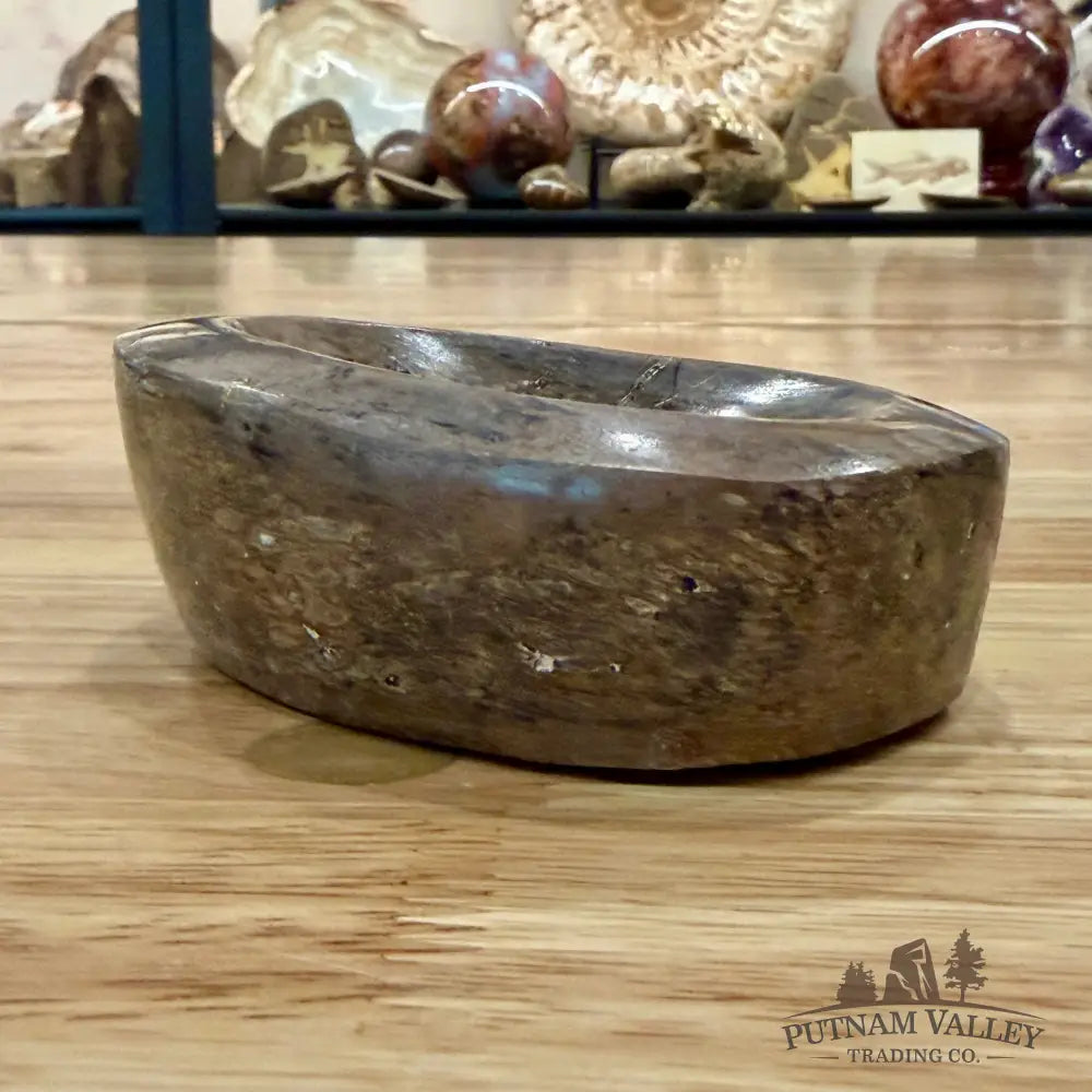 Fossilized Dinosaur Bone Bowl 3.8’’ - Fossil Bowl