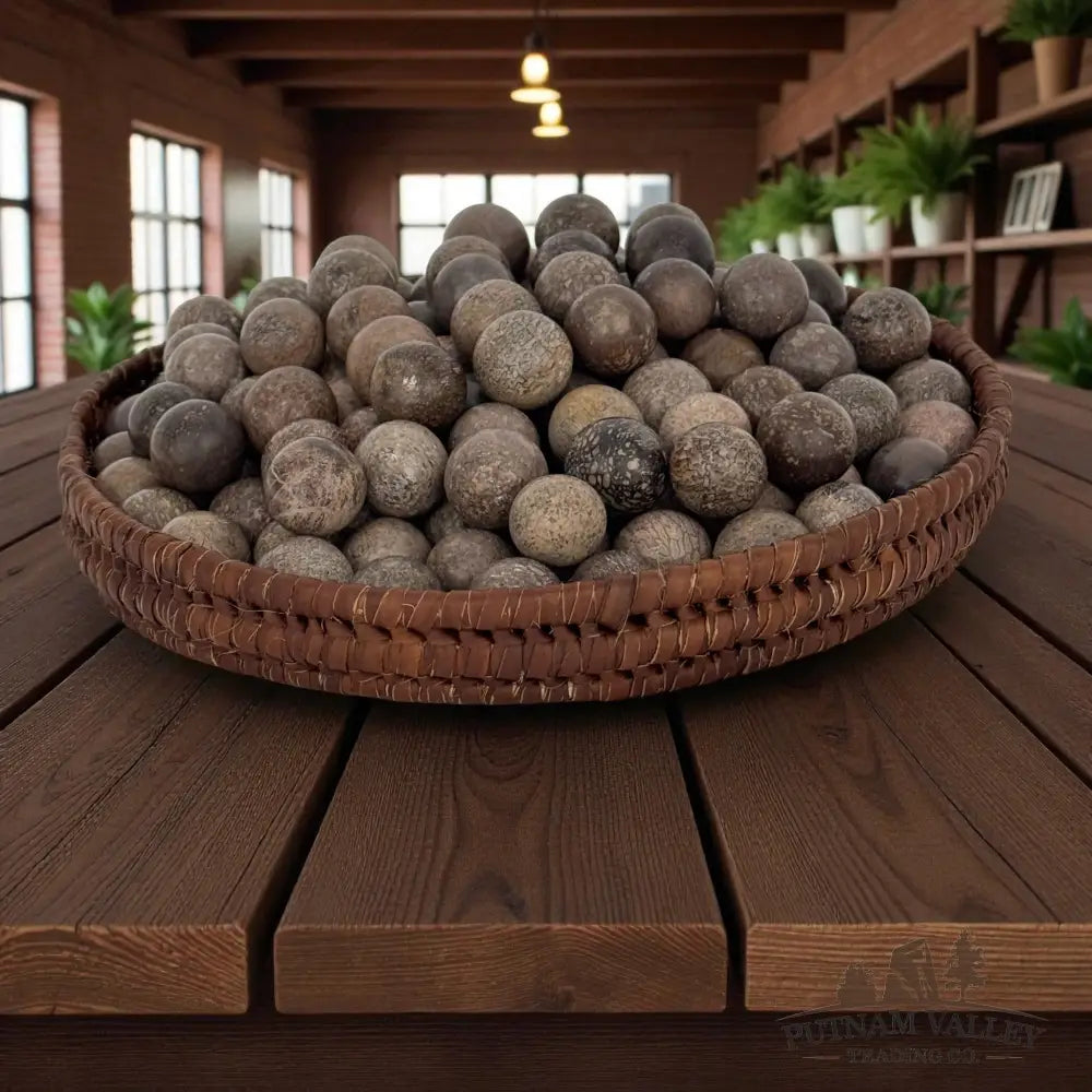 Fossilized Dinosaur Bone Marbles Fossil Sphere