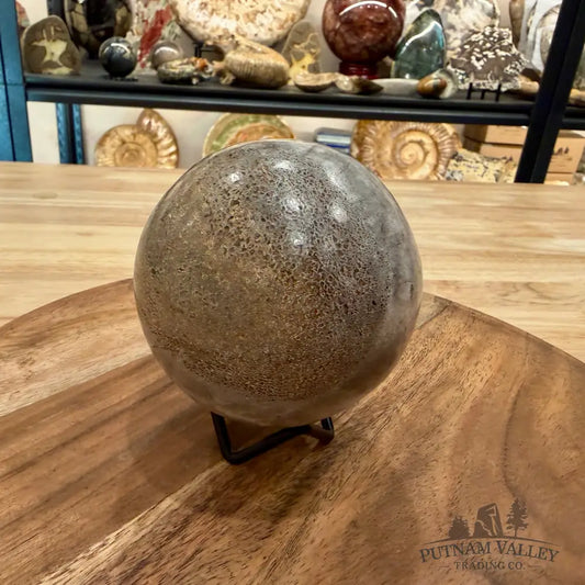 Fossilized Dinosaur Bone Sphere 3.45’’ - Fossil Sphere