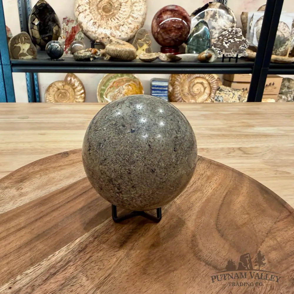 Fossilized Dinosaur Bone Sphere 3.5’’ - Fossil Sphere