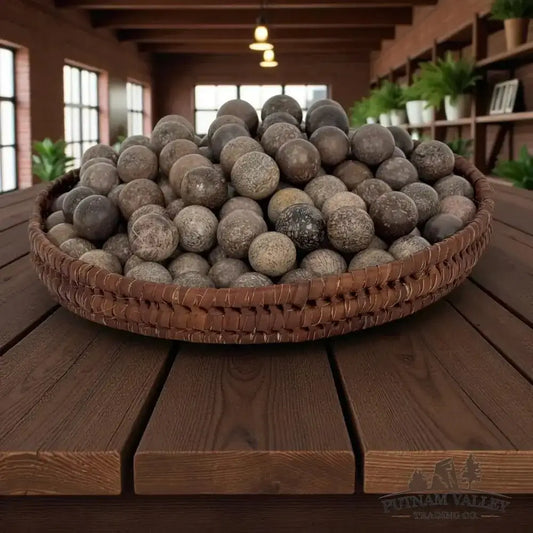 Genuine Fossilized Dinosaur Bone Marbles - Putnam Valley Trading Co.