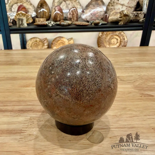 Genuine Fossilized Dinosaur Bone Sphere 3.42’’ Fossil Sphere
