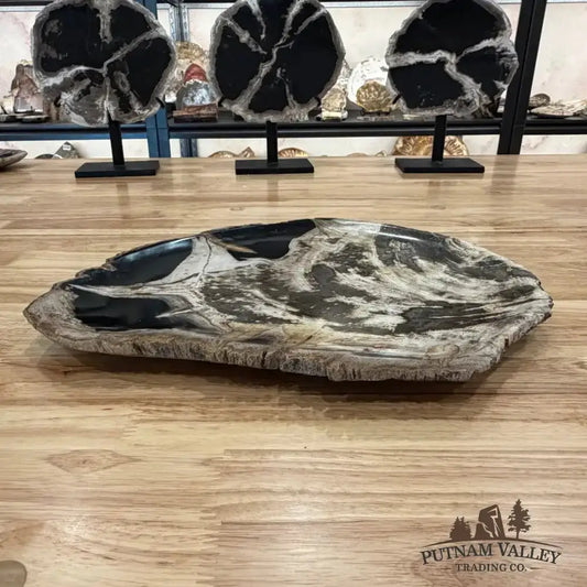 Genuine Indonesian Petrified Wood Rustic Serving Platter - Putnam Valley Trading Co.