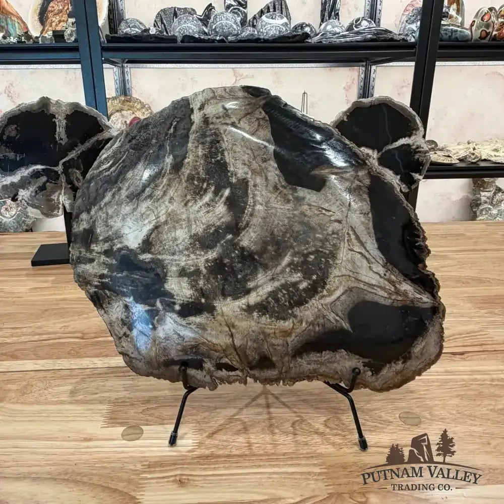 Genuine Indonesian Petrified Wood Rustic Serving Platter - Putnam Valley Trading Co.