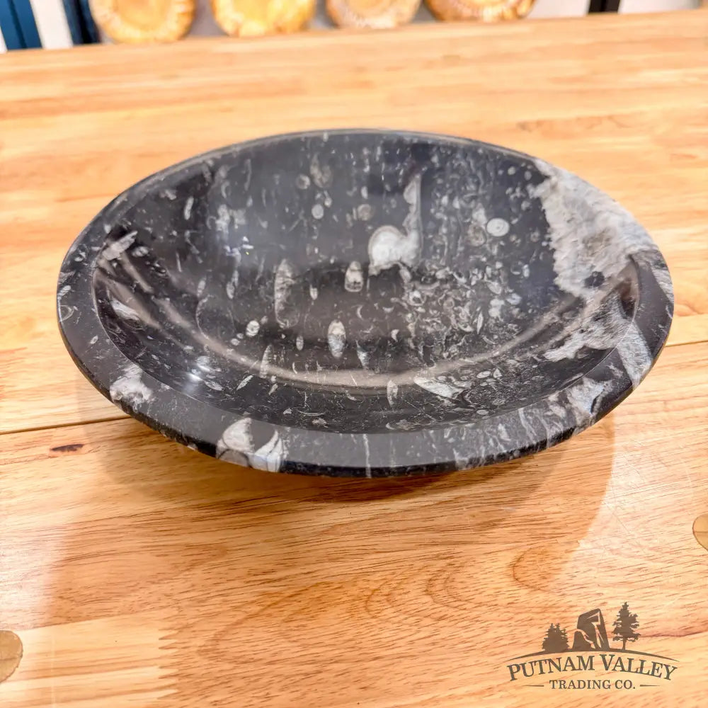 Orthoceras Fossil Bowl 10’’