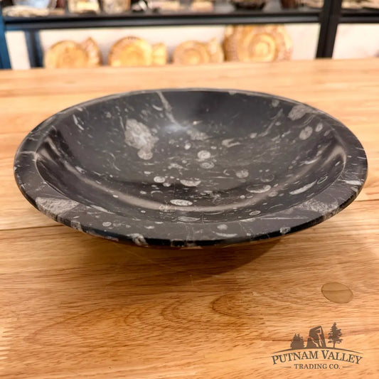 Orthoceras Fossil Bowl 10’’