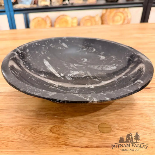Orthoceras Fossil Bowl 10’’