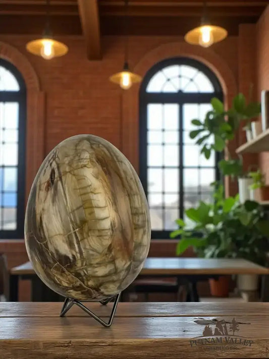 Genuine Petrified Wood Egg Detail View - Putnam Valley Trading