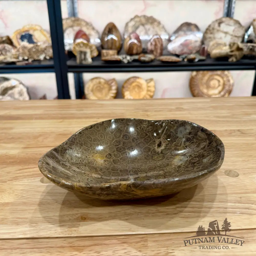 Reserve Coral Fossil Bowl Fossil Bowl