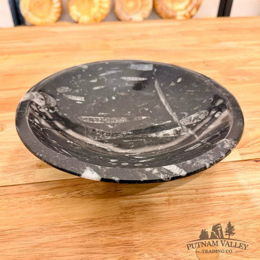 Orthoceras Fossil Bowl 10’’