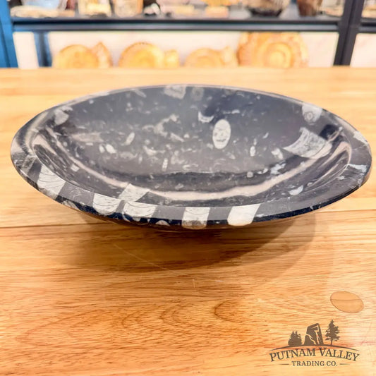 Orthoceras Fossil Bowl 10’’