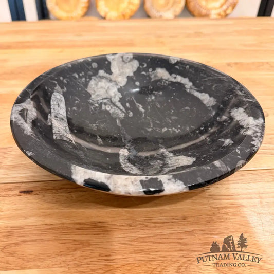 Orthoceras Fossil Bowl 10’’