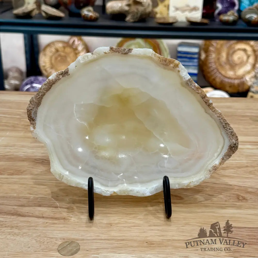 Green Mexican Onyx Bowl 8.75’’ - Bowl