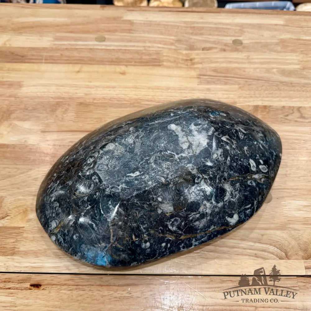 Hand-Carved Rustic Orthoceras Fossil Bowl 13.5’’ - Fossil Bowl