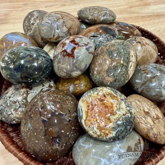 Polished Ibis Jasper Stones (1 lb) | Madagascar - Tumbled Stone