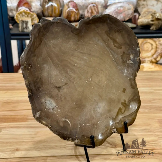 Indonesian Petrified Wood Plate 12’’ Plate