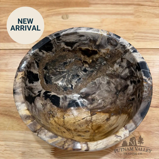 Indonesian Petrified Wood Rustic Bowl Bowl