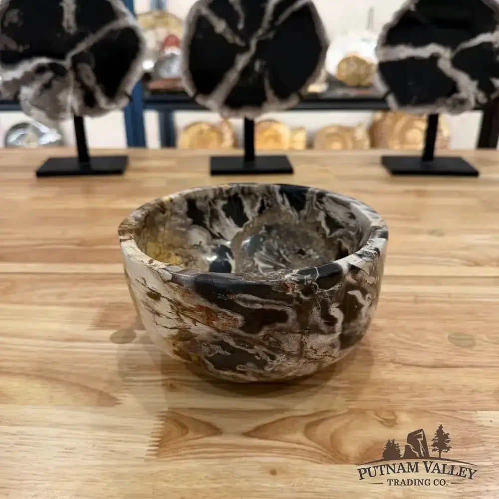 Real Indonesian Petrified Wood Rustic Bowl - Putnam Valley Trading Co.