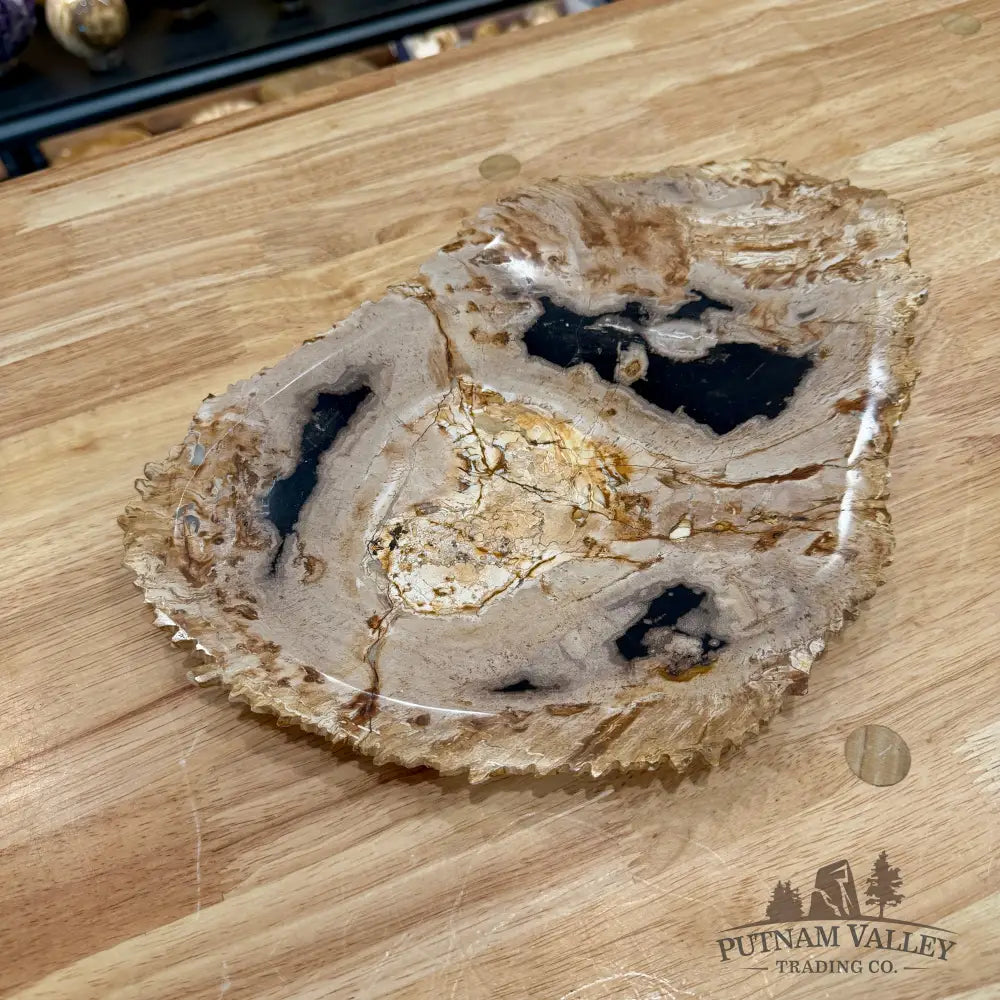 Indonesian Petrified Wood Rustic Plate 13’’ - Plate
