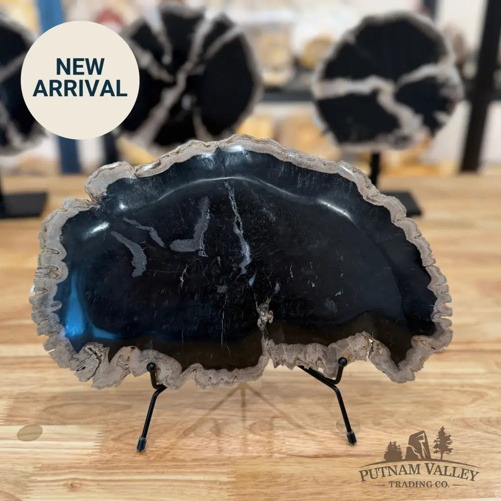 Indonesian Petrified Wood Rustic Plate Plate