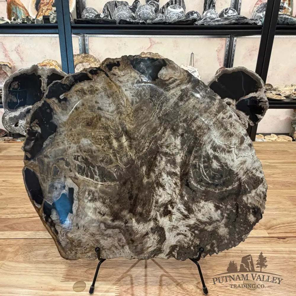 Indonesian Petrified Wood Rustic Serving Platter Plate