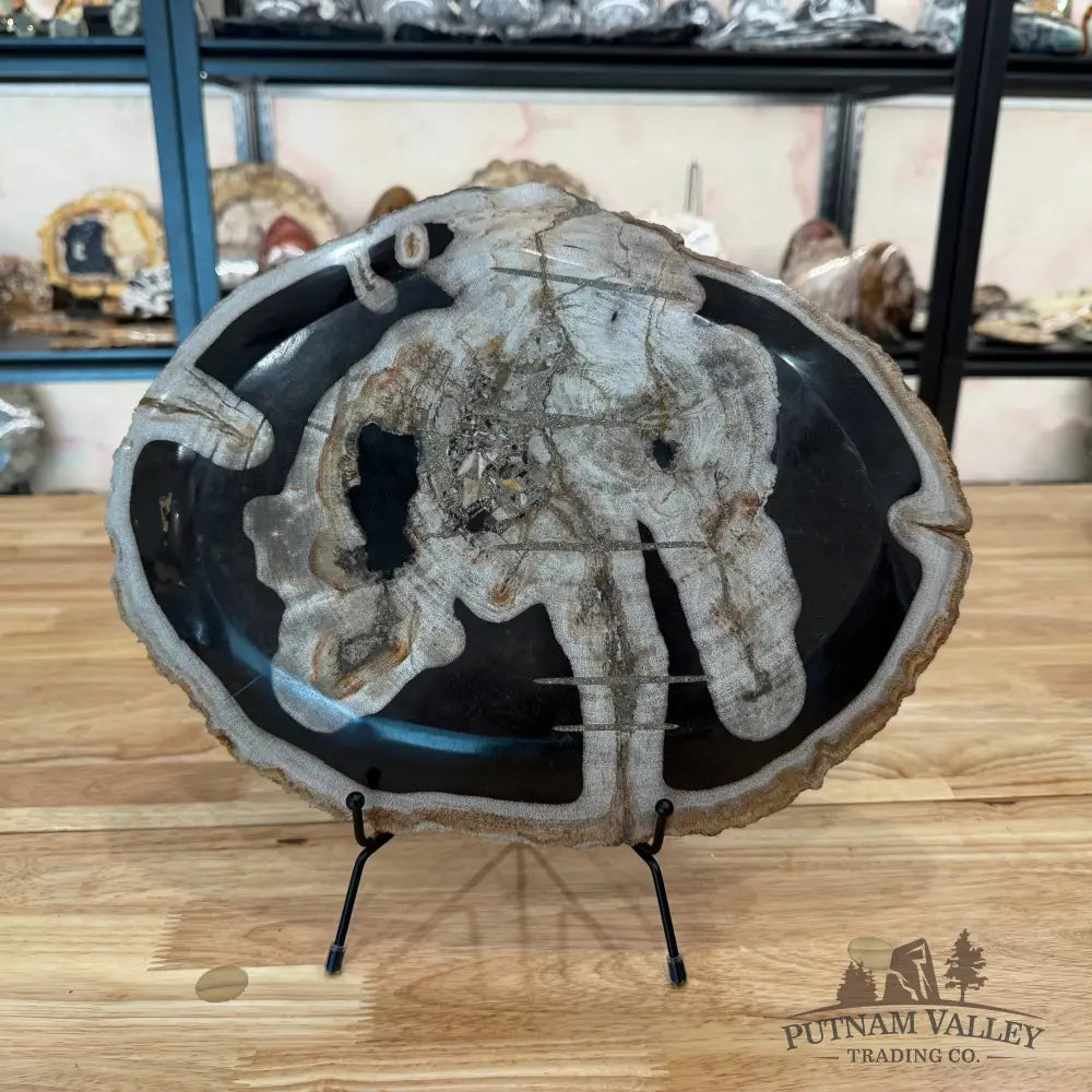 Indonesian Petrified Wood Rustic Serving Platter Plate