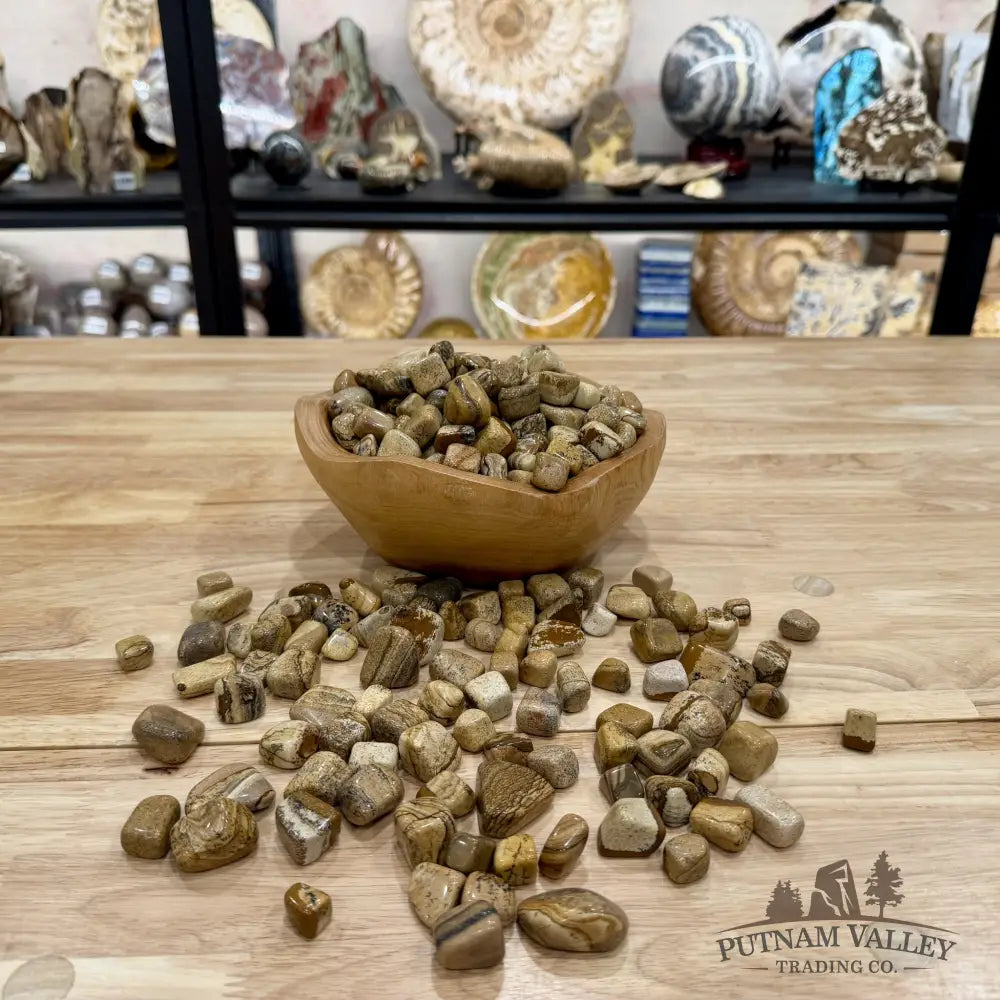 Landscape Jasper Tumbles (½ lb) | South Africa - Tumbled Stone