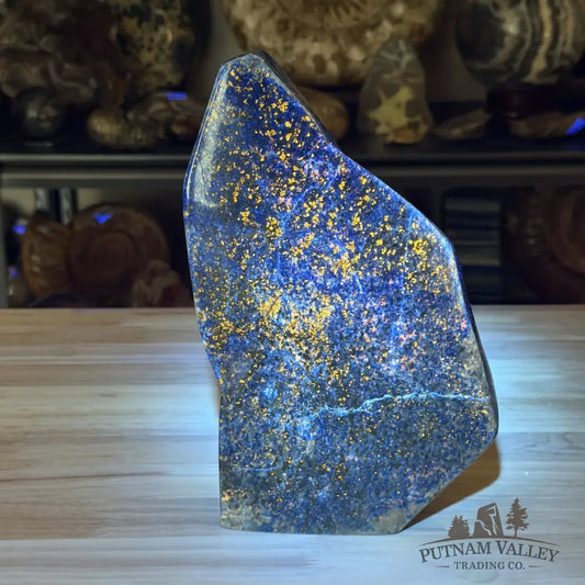 Lapis Lazuli Table Accent 9.6’’, UV Reactive Glow - Accent