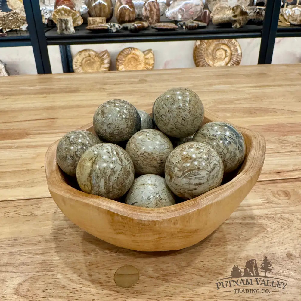 Madagascar Fossil Jasper Spheres Sphere