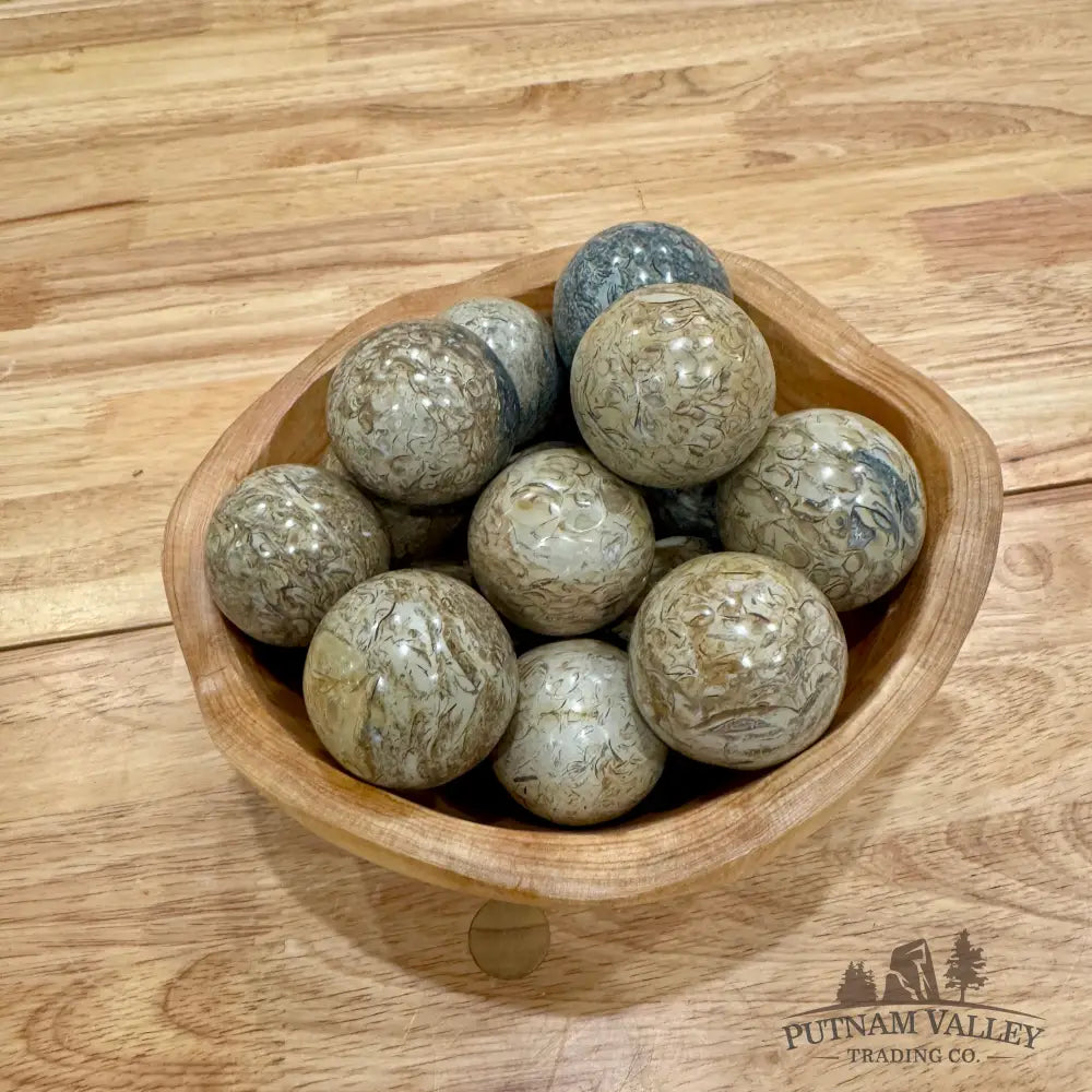 Madagascar Fossil Jasper Spheres Sphere