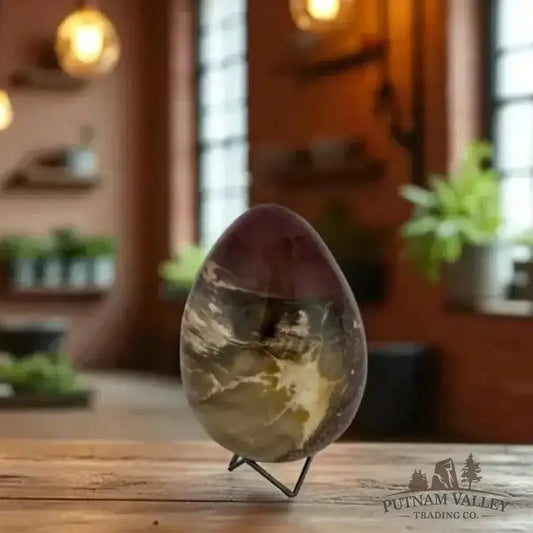 Madagascar Petrified Wood Egg 7.2’’ - Egg
