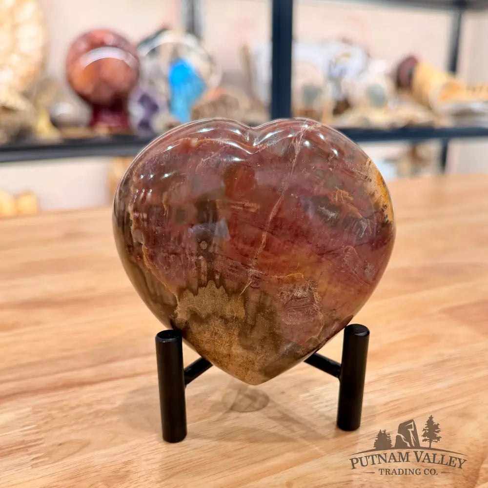 Madagascar Petrified Wood Heart 3.82’’ Heart