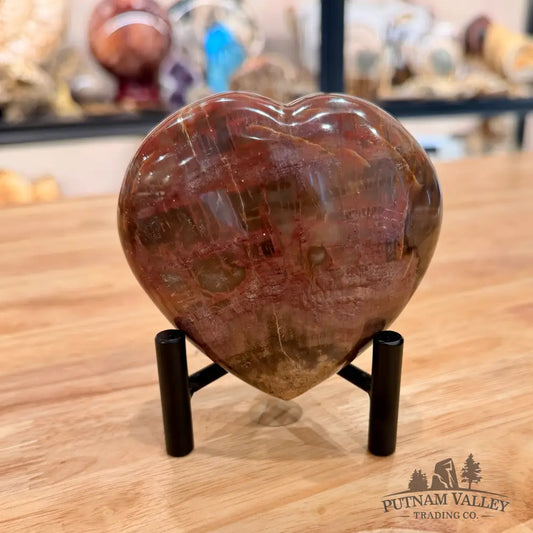 Madagascar Petrified Wood Heart 3.82’’ Heart