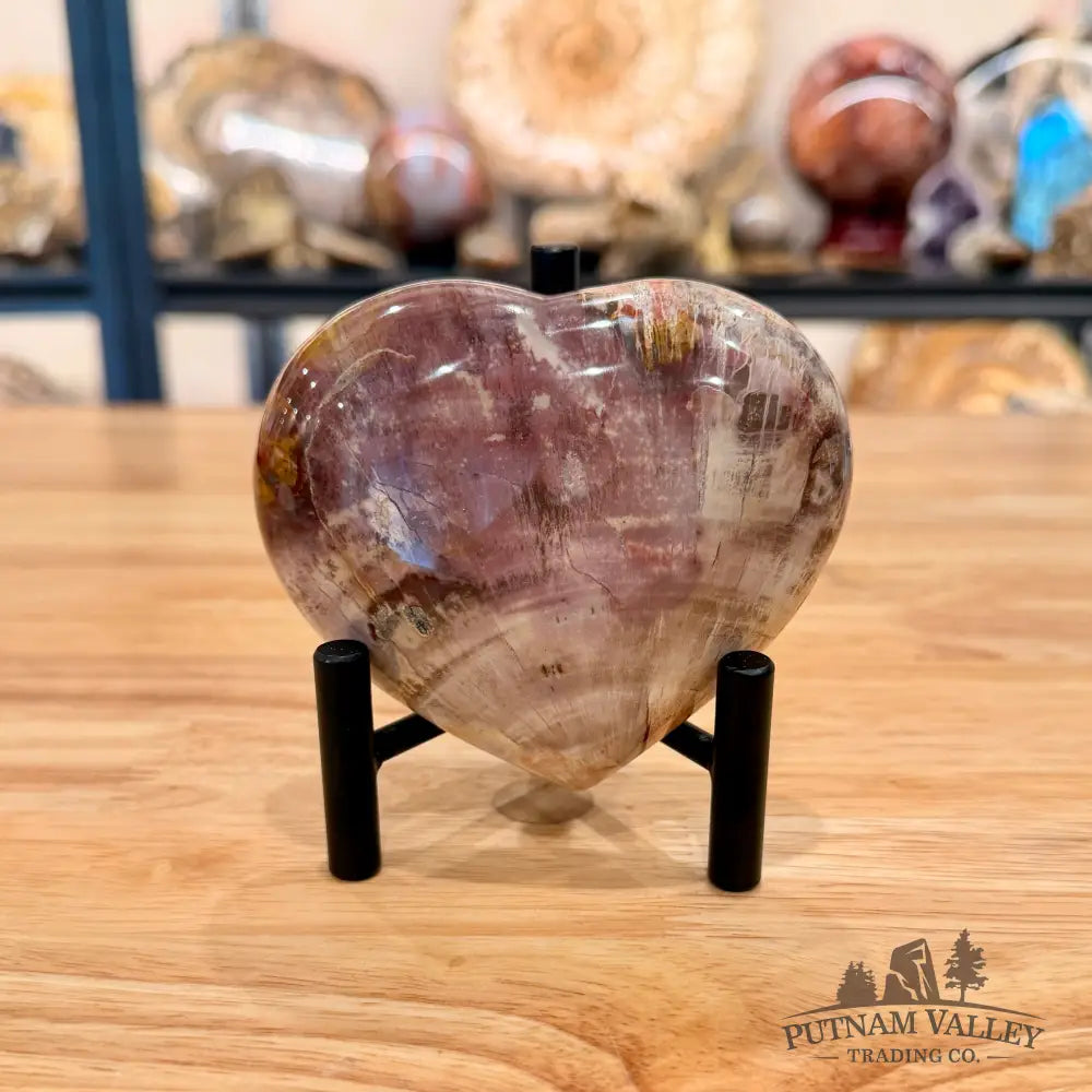 Madagascar Petrified Wood Heart 4.01’’ Heart