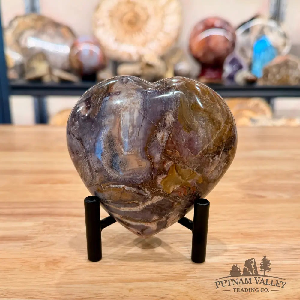 Madagascar Petrified Wood Heart 4.08’’ Heart