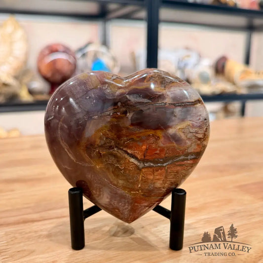 Madagascar Petrified Wood Heart 4.2’’ Heart
