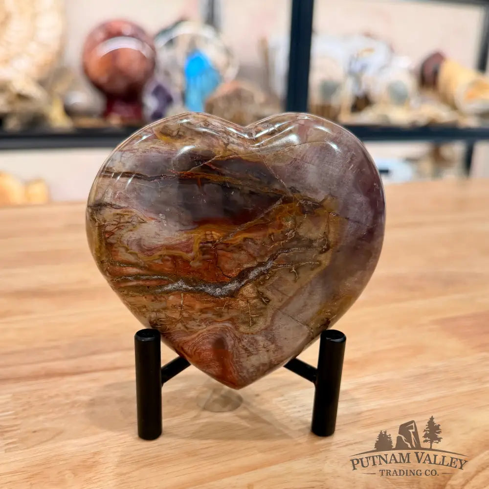 Madagascar Petrified Wood Heart 4.2’’ Heart
