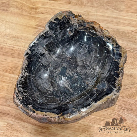 Madagascar Petrified Wood Rustic Bowl 7.5’’ - Bowl