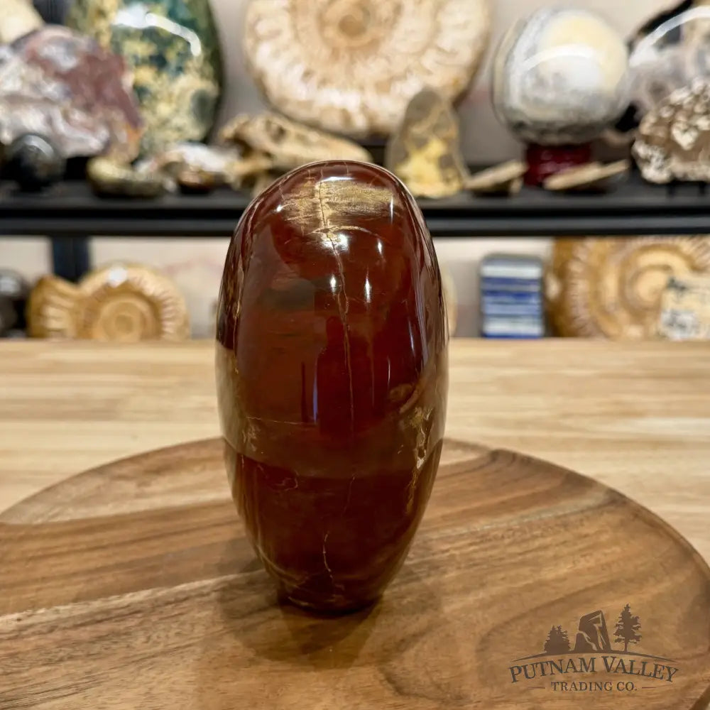Madagascar Petrified Wood Table Accent 5.95’’ - Free Standing Accent