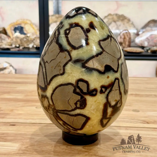 Madagascar Septarian Egg 10’’ Egg