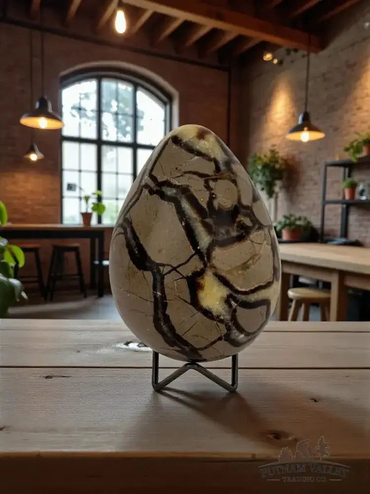 Septarian Egg - Putnam Valley Trading Co.