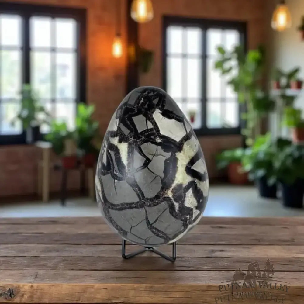 Septarian Egg - Putnam Valley Trading Co.