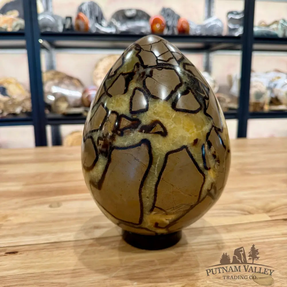 Madagascar Septarian Egg 8.75’’ Egg