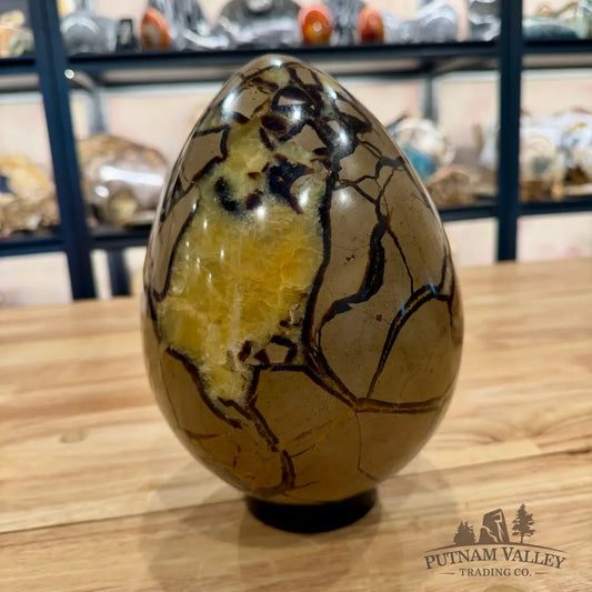 Madagascar Septarian Egg 8.75’’ Egg