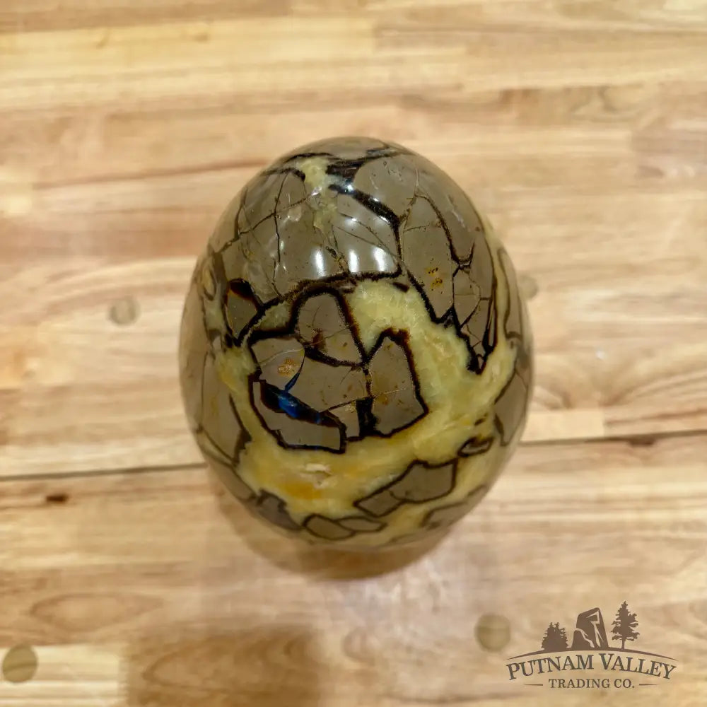 Madagascar Septarian Egg 9’’ Egg