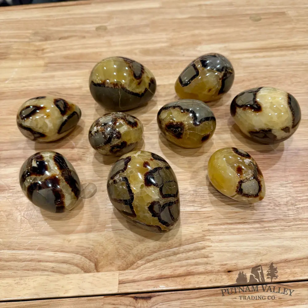 Madagascar Septarian Eggs | In Select Sizes 2’’ - 2.5’’ Sphere