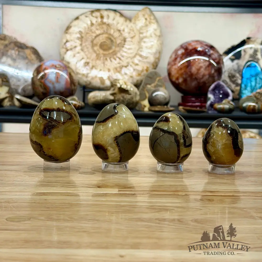 Madagascar Septarian Eggs | In Select Sizes Sphere