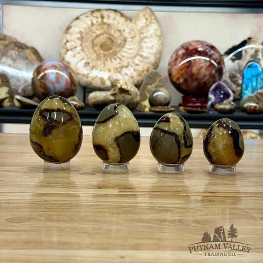 Madagascar Septarian Eggs | In Select Sizes Sphere