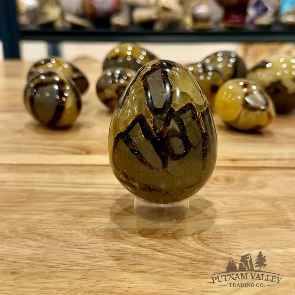 Madagascar Septarian Eggs | In Select Sizes Sphere