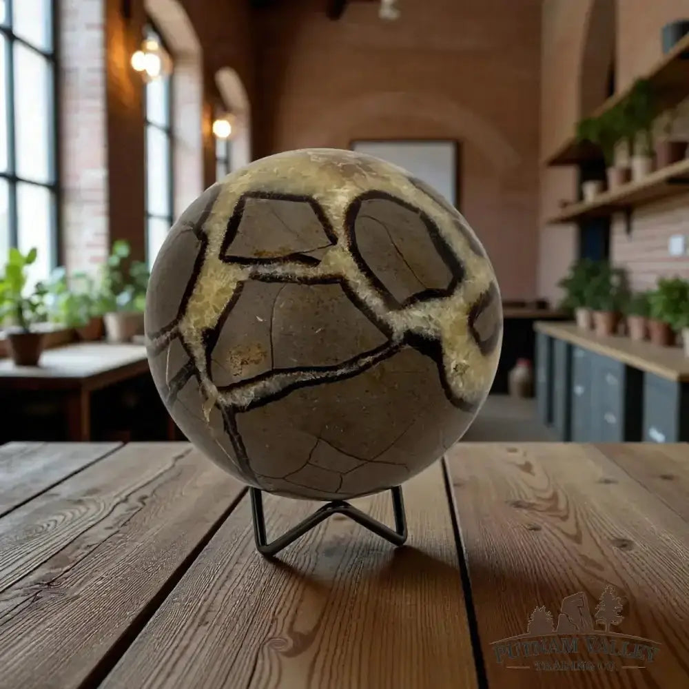 Septarian Sphere 4.7" - Putnam Valley Trading Co.